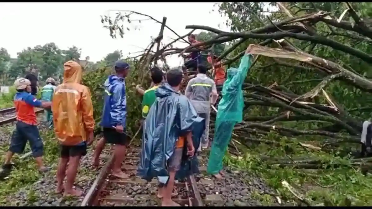 Angin Puting Beliung di Madiun, Tumbangkan Pohon Hingga ke Rel Kereta Api Stasiun Babadan Caruban