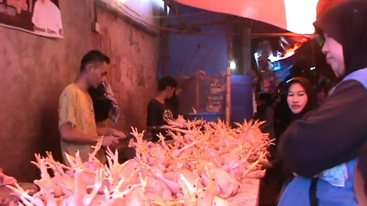 Jelang Natal, Harga Ayam Potong di Pinrang Naik Jadi Rp 25 Ribu