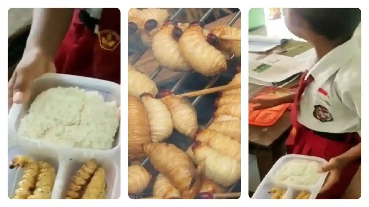 VIRAL Bocah SD Pamer Bekal Ulat Sagu Goreng, Respons Guru dan Netizen Bikin Salfok