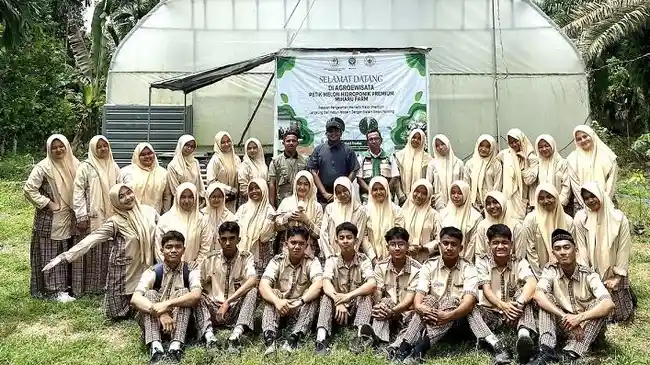 Tribun