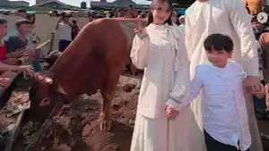 Haji-Faisal-Ungkap-Fuji-Kurban-Sapi-700-Kg-Sebut.jpg
