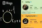 FITUR-INSTAGRAM-RINGS-hrtdhngrsbfv.jpg