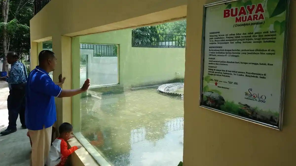 Ada Koleksi Satwa Baru di Taman Satwa Taru Jurug Solo, Apa Saja?