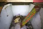 Kondisi Pasar Blok G Tanah Abang Memprihatinkan