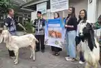 Berkah Iduladha Warga Tawangmas Terima Bantuan Hewan Kurban