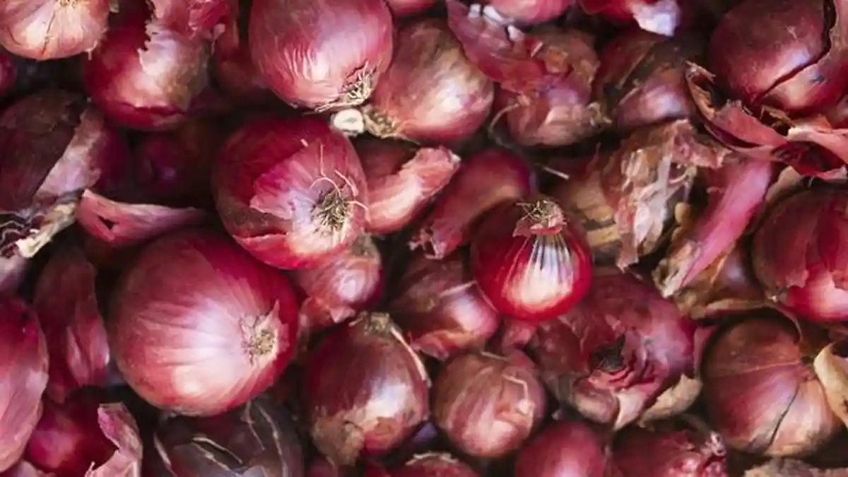 5 Fakta Penting tentang Manfaat Bawang Merah untuk Menurunkan Kolesterol