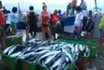Kesibukan di TPI Tuminting MANADO