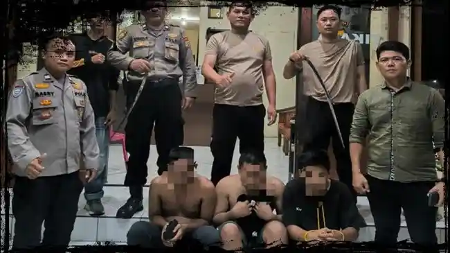 Tribun