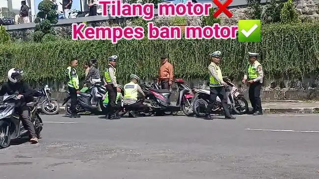 Tribun