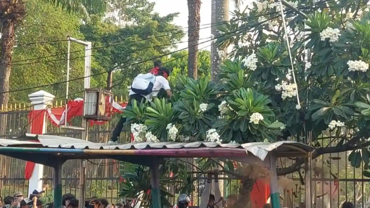 Situasi Memanas, Beberapa Pendemo Berupaya Robohkan Halte di Depan Gedung DPR RI