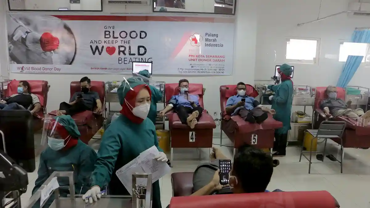 Jadwal Pelayanan Donor Darah PMI Kota Semarang Hari Ini Rabu 30 Juni 2021 Hanya Buka di 1 Lokasi
