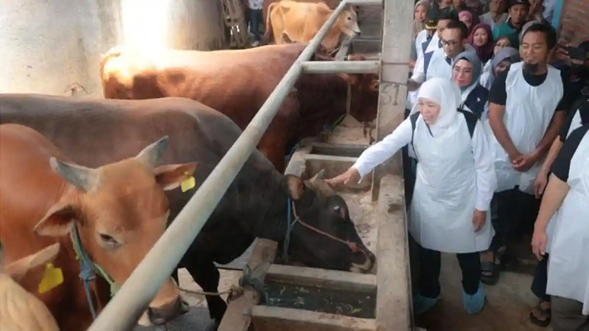 Khofifah Diskusikan Potensi Kerja Sama UK-Jatim di Sektor Kesehatan, Pendidikan hingga Energi