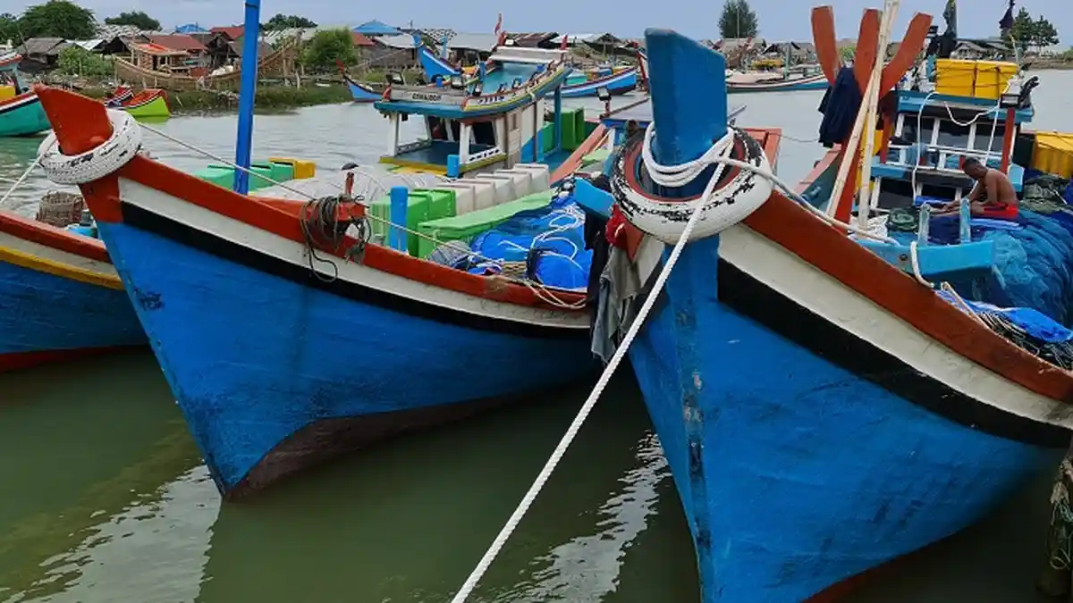 Harga Ikan di Pidie Jaya Melambung Tinggi, Ini Dugaan Penyebabnya