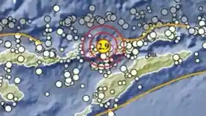 Gempa-di-NTT-terkini-sore-ini-Senin-11-Mei-2026.jpg