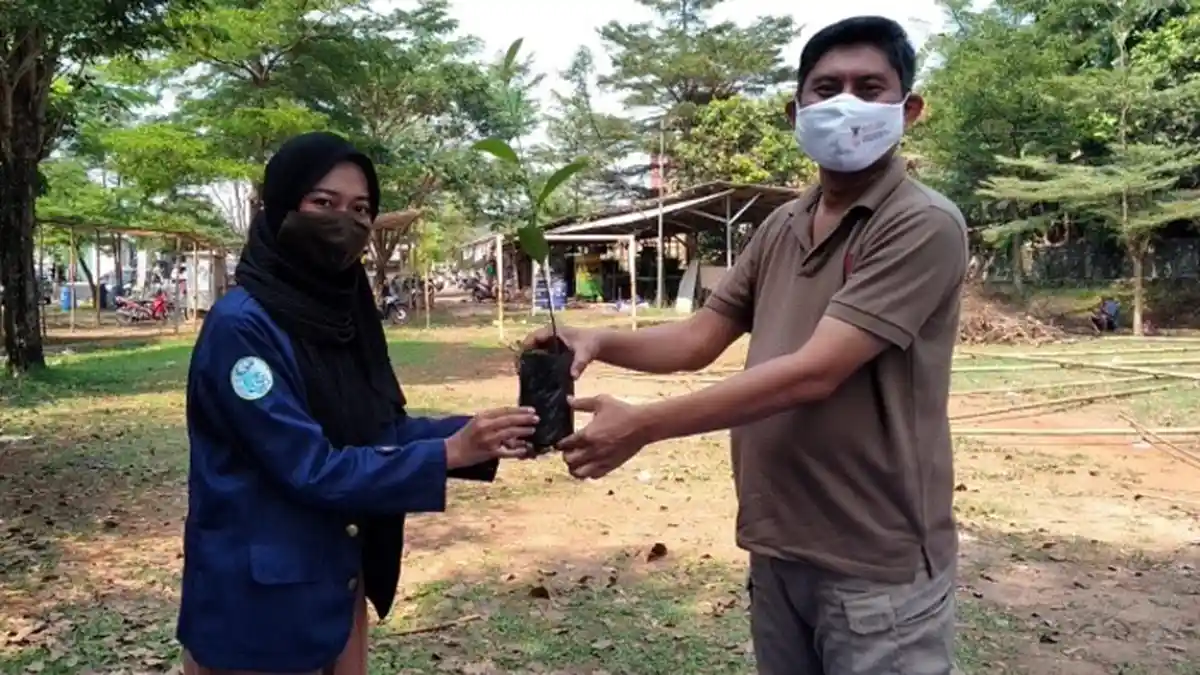 Mahasiswa IPB University Sulap Lahan Gersang di Desa Cipenjo Bogor dengan 100 Pohon