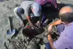 Tradisi Menyelimuti Anak dengan Pasir Saat Gerhana di Pakistan