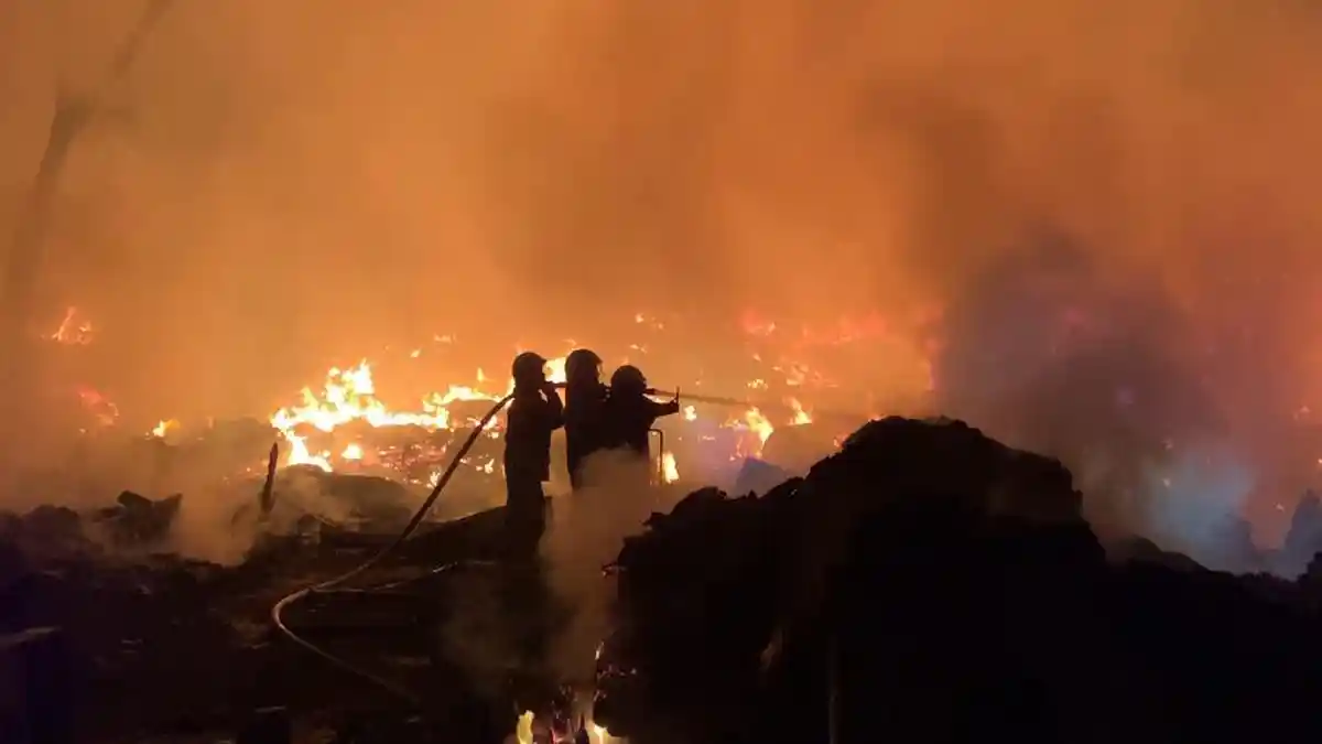 BREAKING NEWS: Kebakaran Terjadi di Pondok Pinang Jaksel, 19 Unit Damkar Dikerahkan