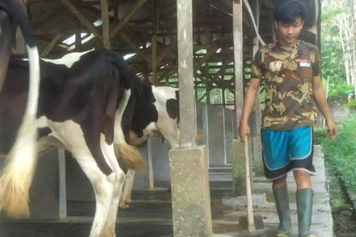 Tahun 2021, DLH Tulangbawang Barat Olah Sampah dan Kotoran Sapi Jadi Pupuk Organik Cair