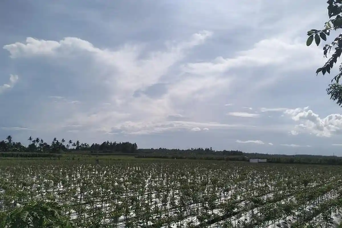 WASPADA Hujan Tidak Merata 3 Hari ke Depan, Atau Hujan Deras di Peralihan Musim, Simak Beritanya!