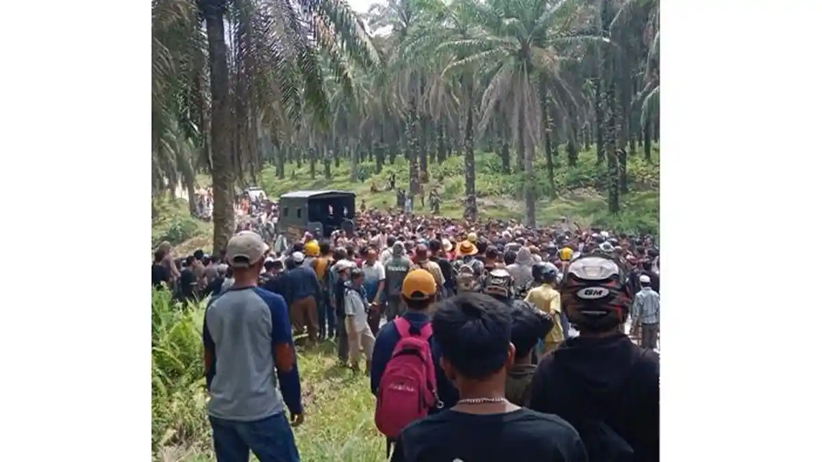 Bentrok Sesama Suku Melayu di Eks Kebun PT Torganda, Sejumlah Warga ...