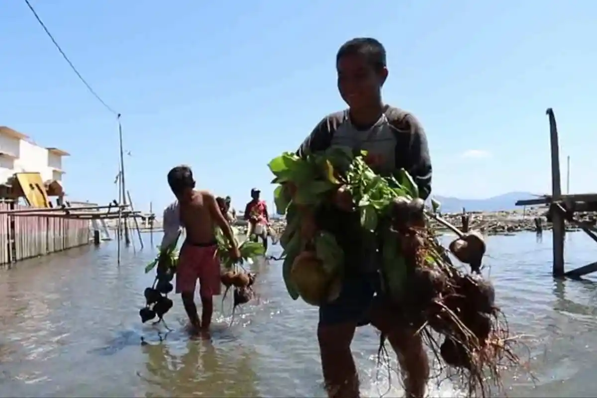 Ini Dilakukan Warga Donggala Ciptakan Desa Tangguh Bencana