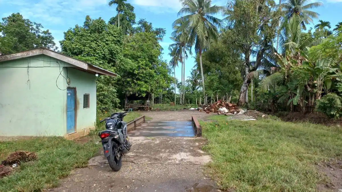 Pabrik di Bengkulu Selatan dan Kaur Kompak Naikan Harga TBS Sawit, Hari Ini Tertinggi Rp 1.860