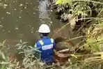 Sungai dan Sumur di Desa Belani Diduga Tercemar Tumpahan Minyak, Warga Muratara Resah