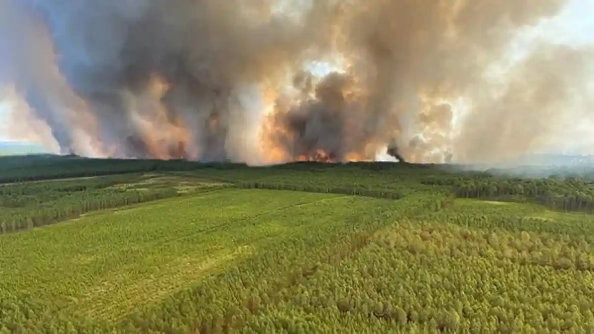 Pejabat Uni Eropa Telah Keluarkan Peringatan Ancaman Kebakaran Hutan Akibat Perubahan Iklim