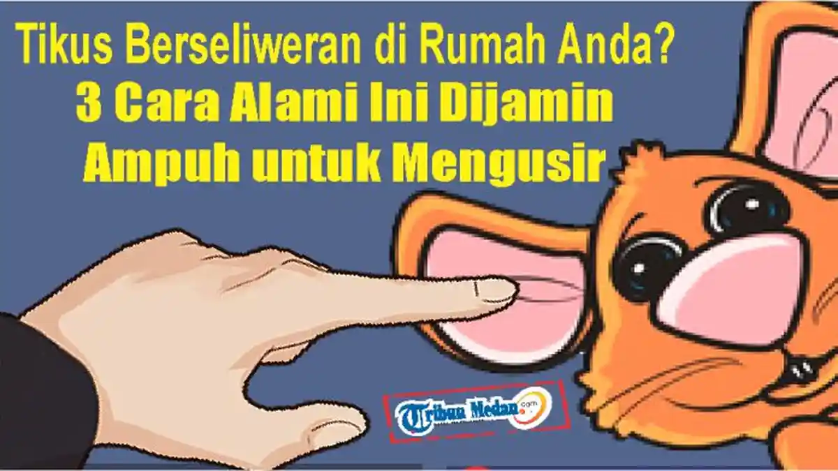 Cara Alami Ini Dijamin Ampuh untuk Mengusir Tikus Berseliweran di Rumah Anda