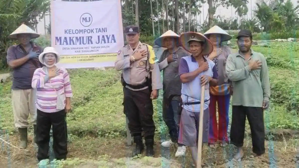 Polri Dukung Ketahanan Pangan di Tapian Dolok, Aiptu Bambang Bersama Kelompok Tani Makmur Jaya