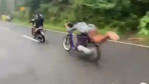 hbejh4rjnr5.jpg
