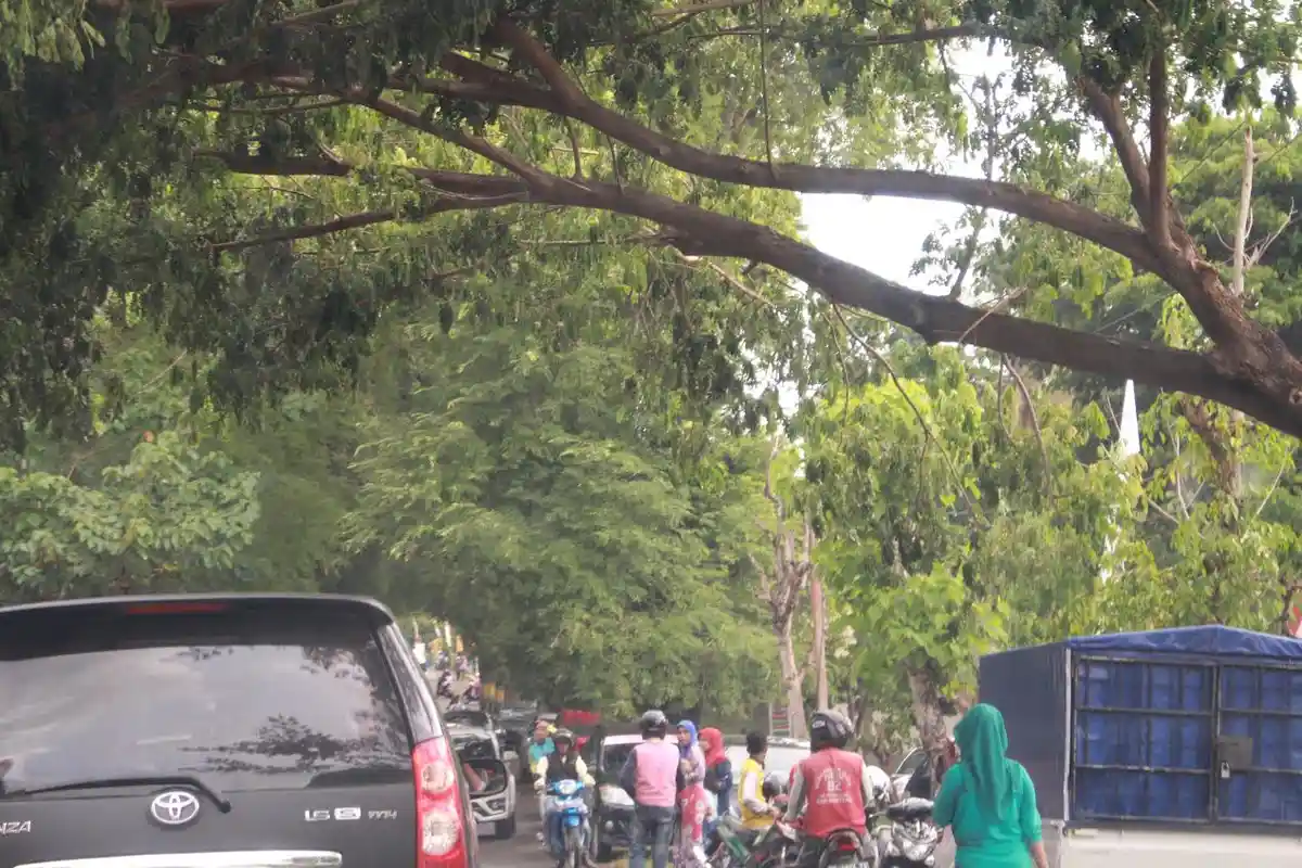 Tarif Parkir di Pameran Pembangunan Soppeng, Motor Rp 5 Ribu, Mobil Rp 10 Ribu