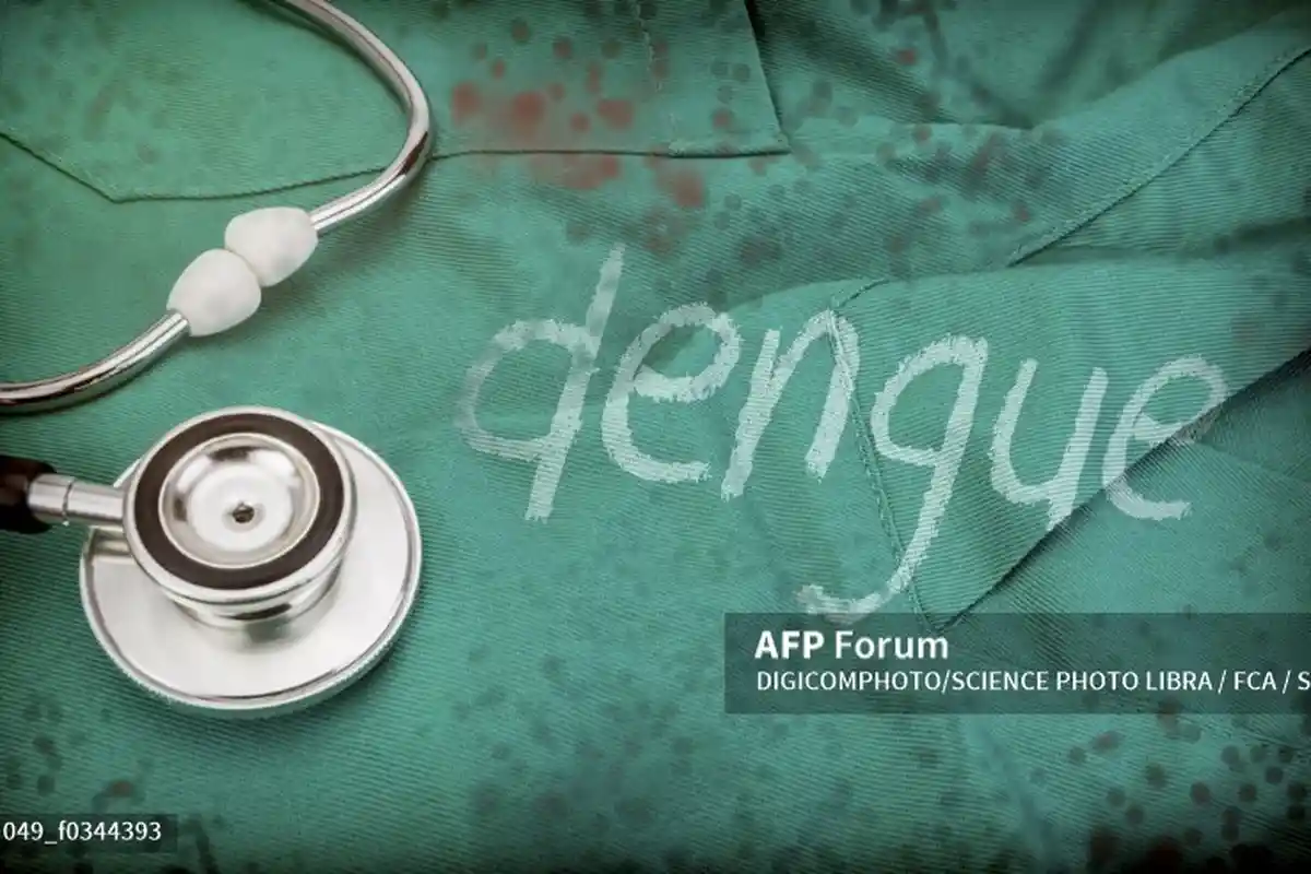 Kasus DBD di Pontianak Alami Penurunan, DBD di Mempawah Meningkat Dibandingkan Tahun 2021