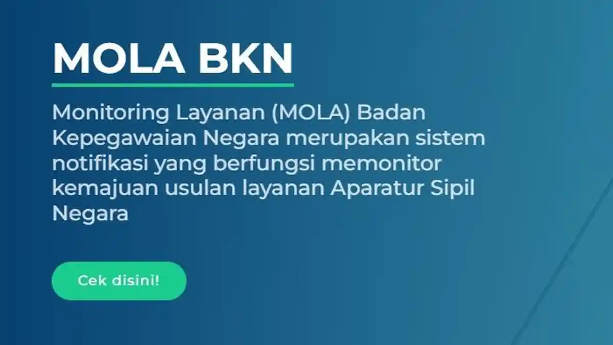 Cara Cek Progres Penetapan NIP/NI PPPK di MOLA BKN Lengkap Info Kenaikan Pangkat dan Pindah Instansi