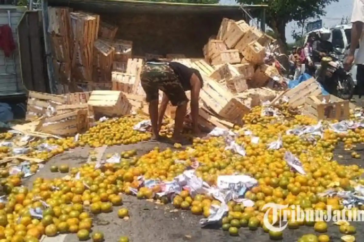 Nasib Tragis Guru asal Situbondo Tewas Tertabrak Truk, Muatan Jeruk Tumpah ke Jalan, Picu Kemacetan