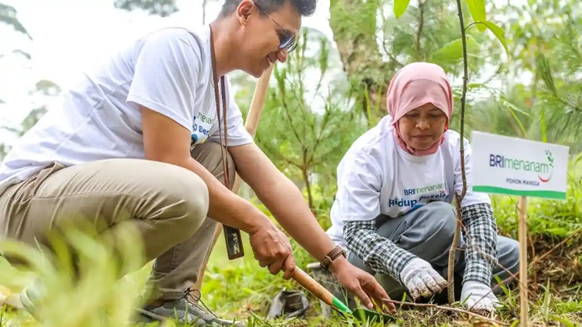 Nasabah BRI Ungkap Manfaat Program BRI Menanam, Lingkungan Jadi Hijau dan Dapat Cuan