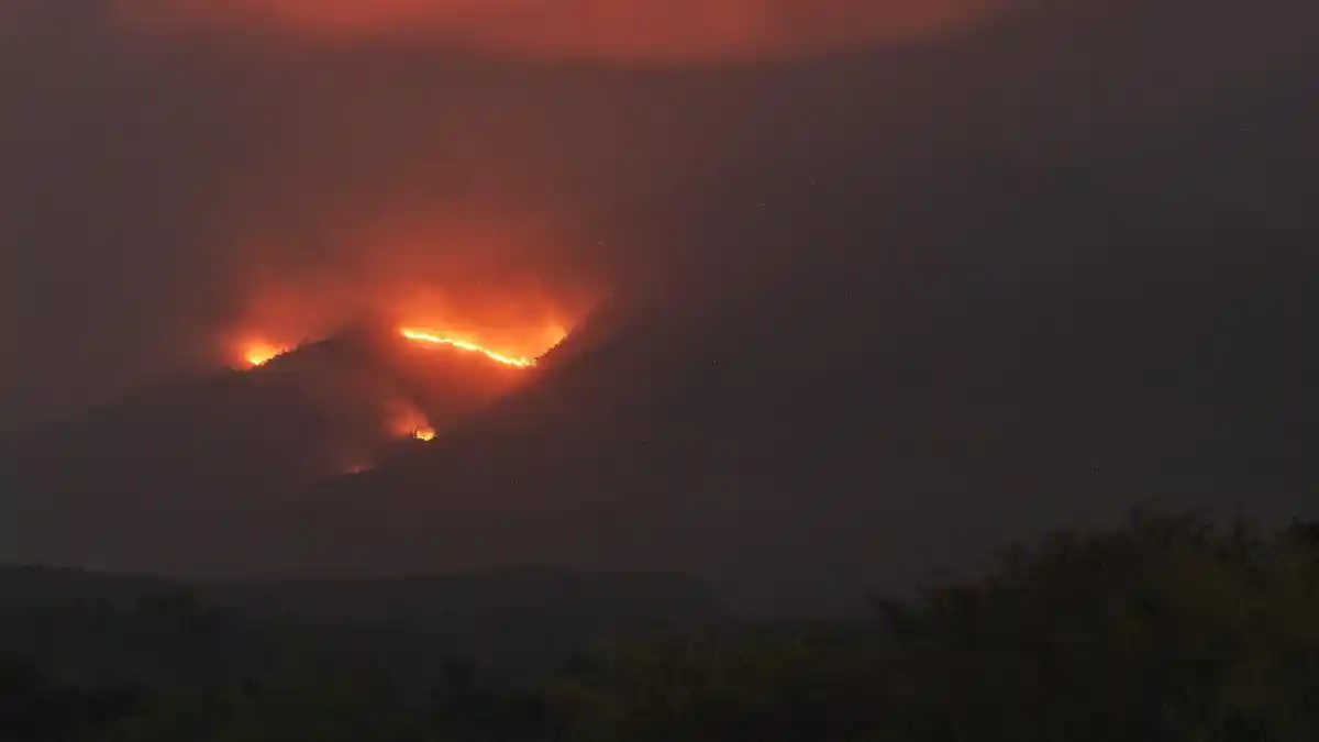 Kebakaran Hutan di Gunung Arjuno Wilayah Kabupaten Malang Mencapai 816 Hektare