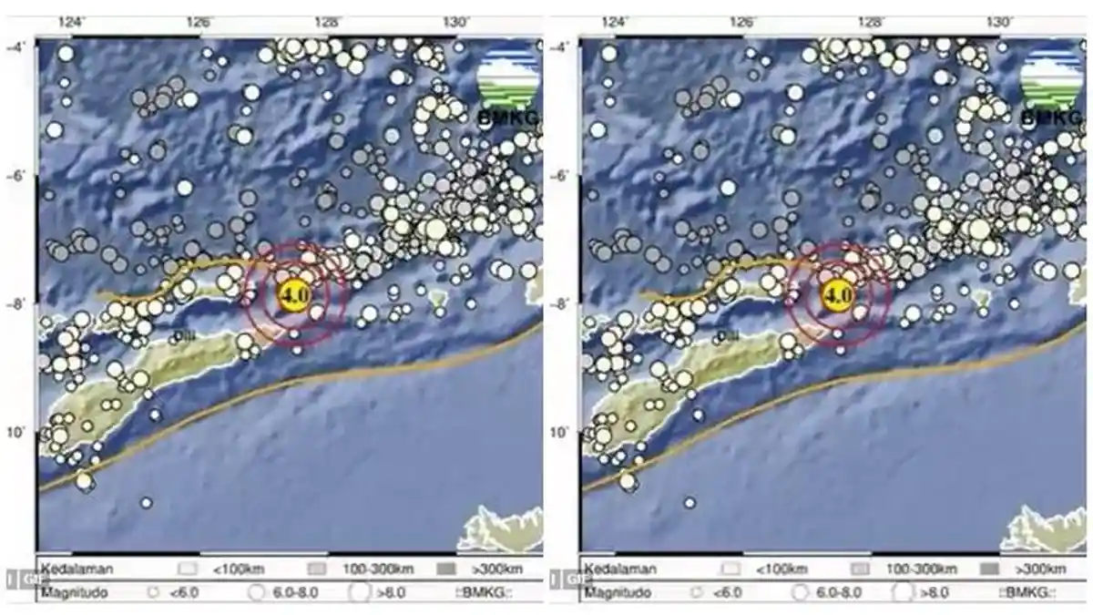 Gempa Hari Ini di Maluku Barat Daya Magnitudo 4.0, Info Lengkap BMKG Terkini
