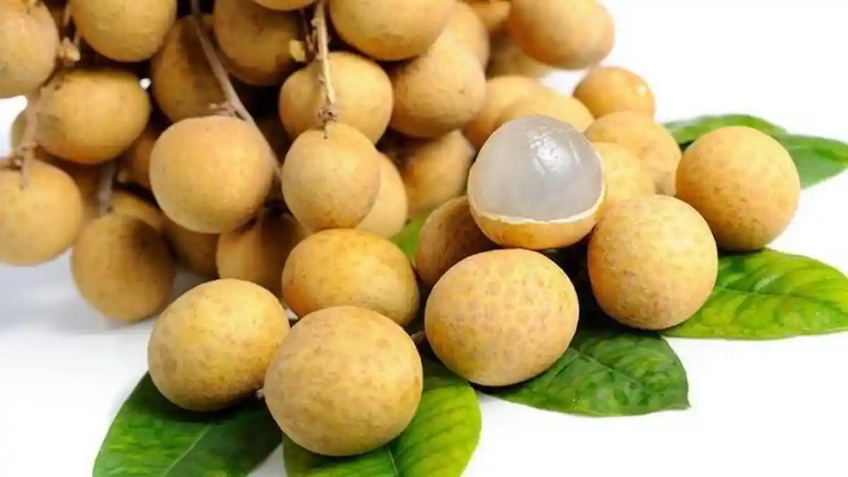 9 Manfaat Buah Kelengkeng untuk Kesehatan, Mengobati Insomnia dan Kecemasan