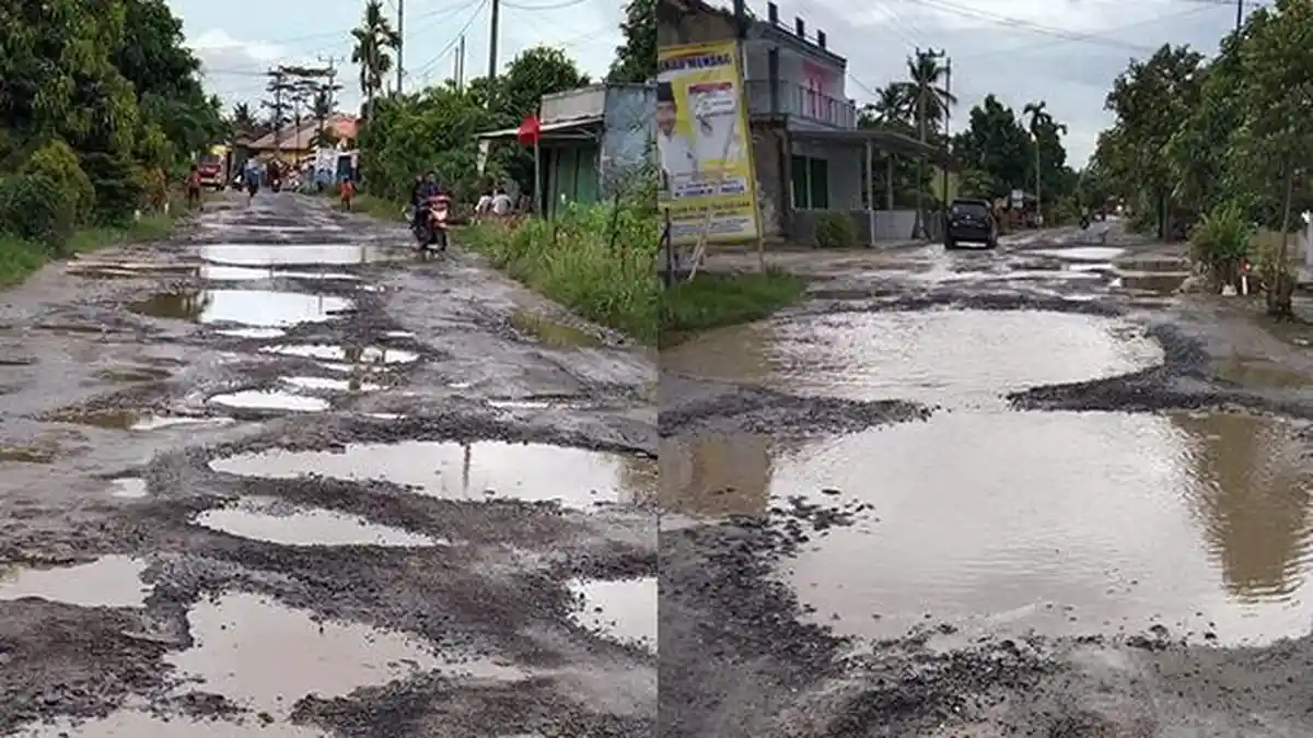 Bak Kubangan, Jalan di Palas Lampung Selatan Rusak Parah Sepanjang 7 Km
