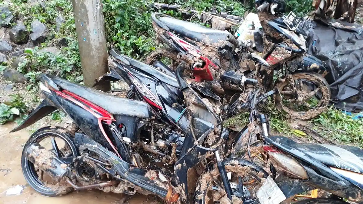 Lumbung Padi, Kendaraan Hingga Hewan Ternak Ikut Tertimbun Longsor Di Cisolok Sukabumi
