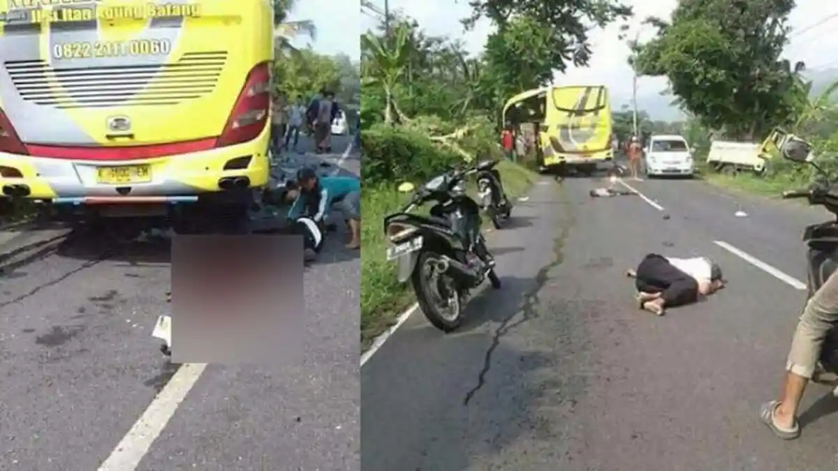 Adu Kambing Bus dan Truk, Tubuh Korban Bergelimpangan di Jalan