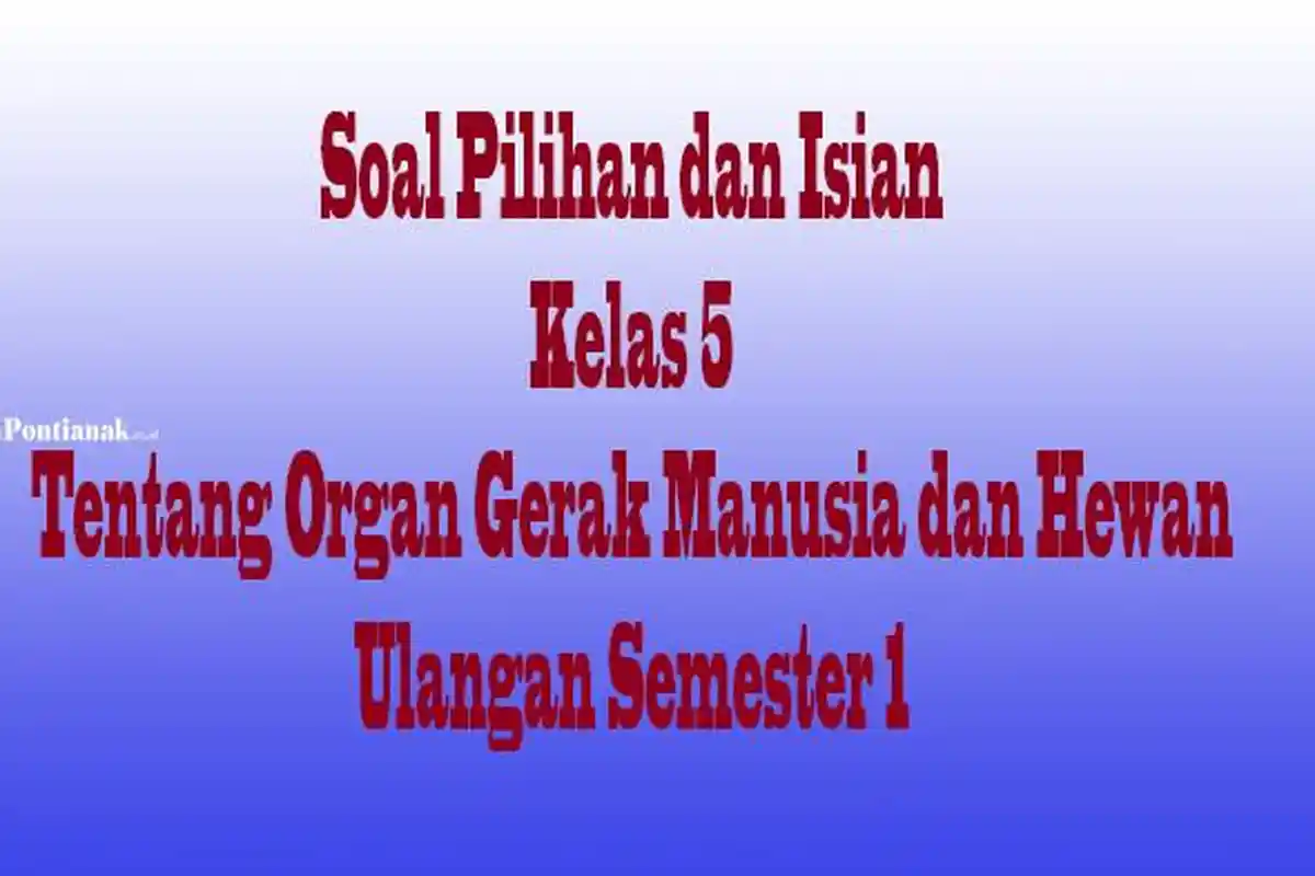 JAWABAN Soal Pilihan dan Isian Kelas 5 SD Tentang Organ Gerak Manusia dan Hewan, Ulangan Semester