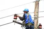 Petugas PLN Melakukan Pemeliharaan Jaringan Listrik