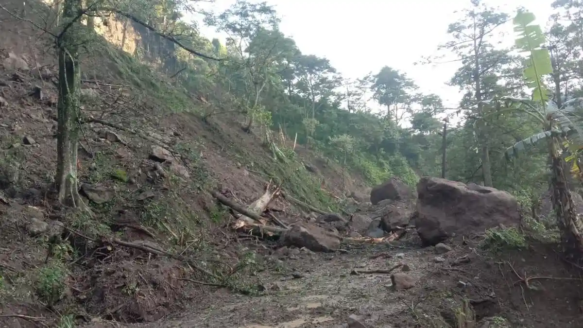 Tebing Setinggi 100 Meter di Jepara Kembali Longsor, Akses Jalan Utama Putus Tertutup Batu Besar