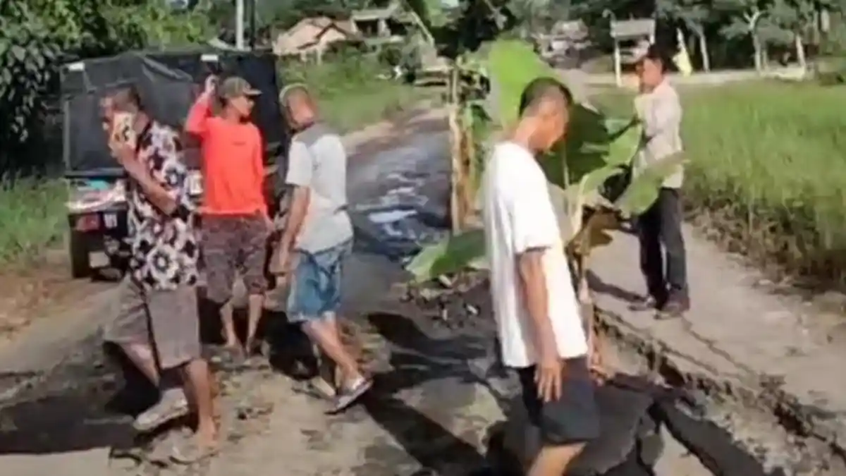 Kesal Tak Diperbaiki, Warga Panaragan Tanam Pohon Pisang di Tengah Jalan