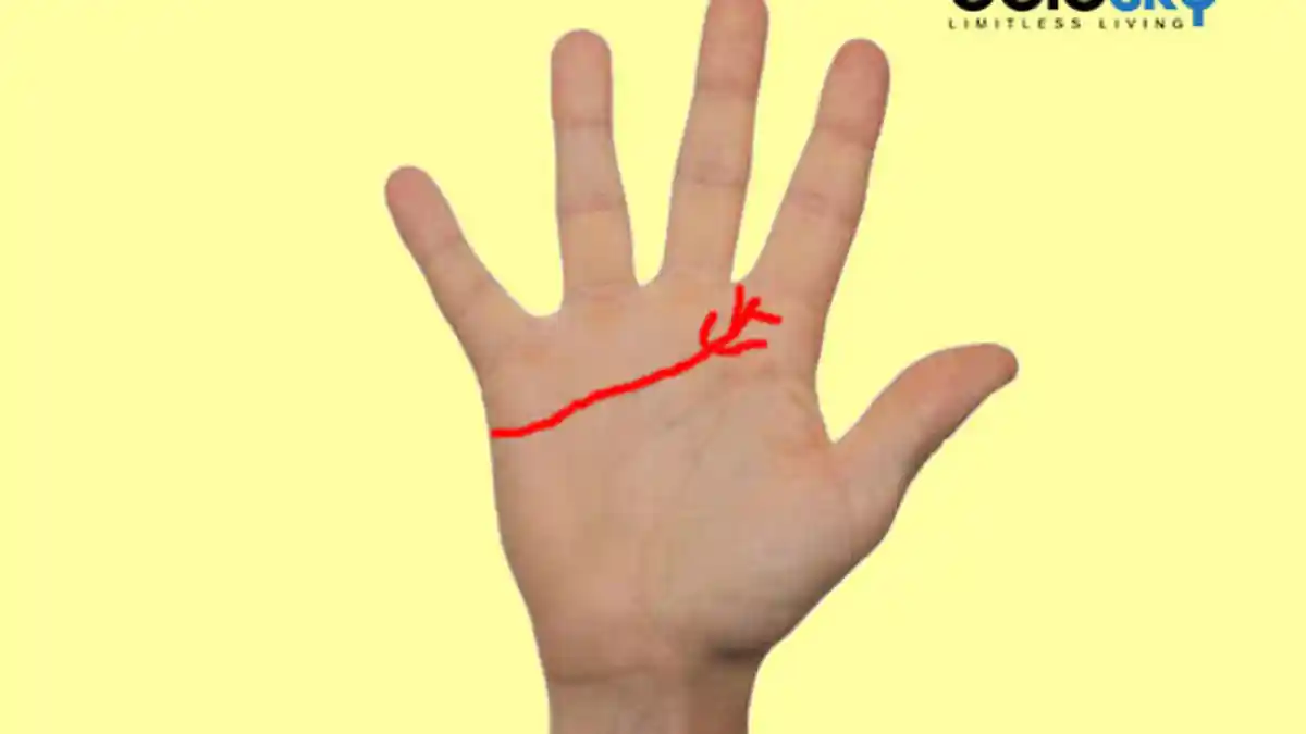 Cara Membaca Garis Telapak Tangan untuk Mengetahui Kisah Percintaanmu