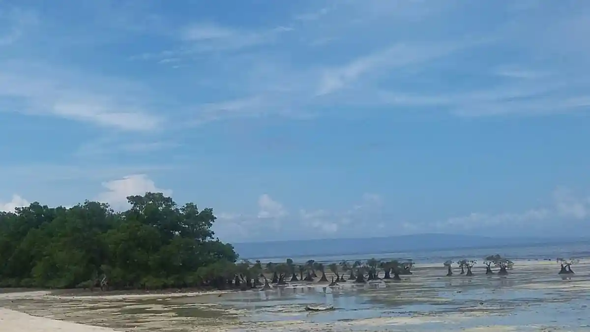 Pantai Walakiri di Sumba Timur, Keindahannya Terekspose Saat Laut Surut