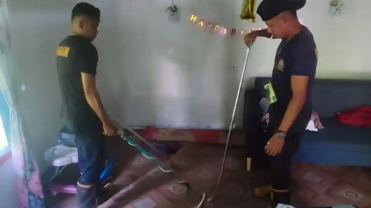 Damkar Lingga Evakuasi Ular Tedung Sepanjang Dua Meter dari Rumah Warga di Desa Merawang