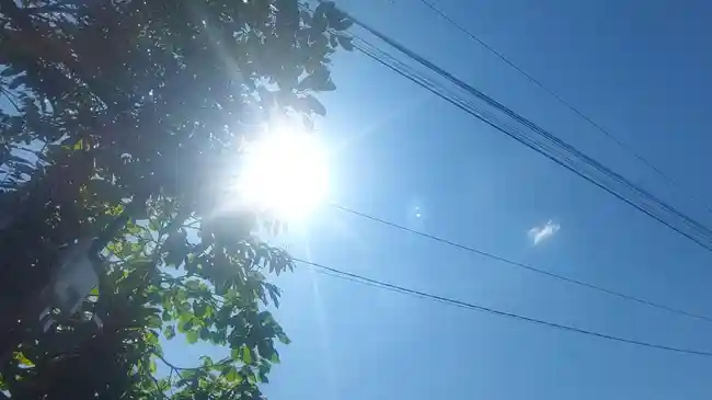 Tribun